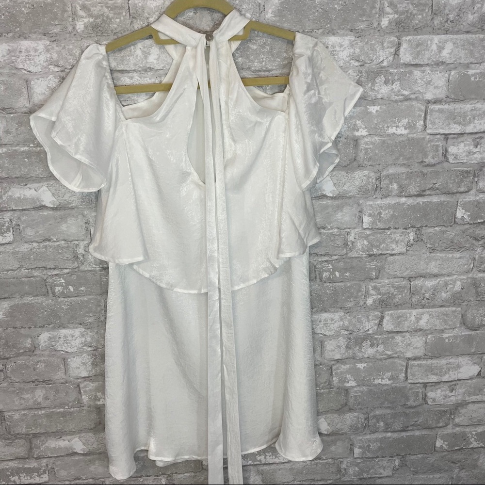 Show Me Your MuMu KAITLIN RUFFLE Dress - Picture 6 of 9